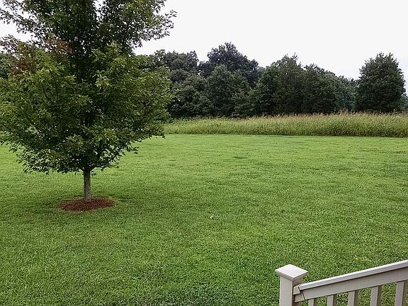 View from front porch