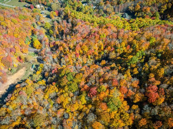 119 Hughes Hollow Rd, Roan Mountain, TN 37687