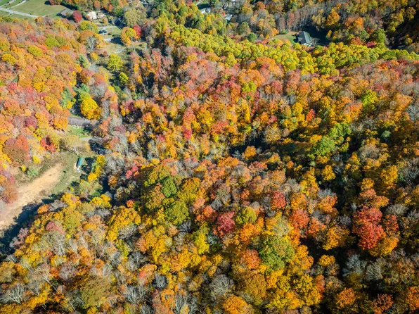 131 Hughes Hollow Rd, Roan Mountain, TN 37687