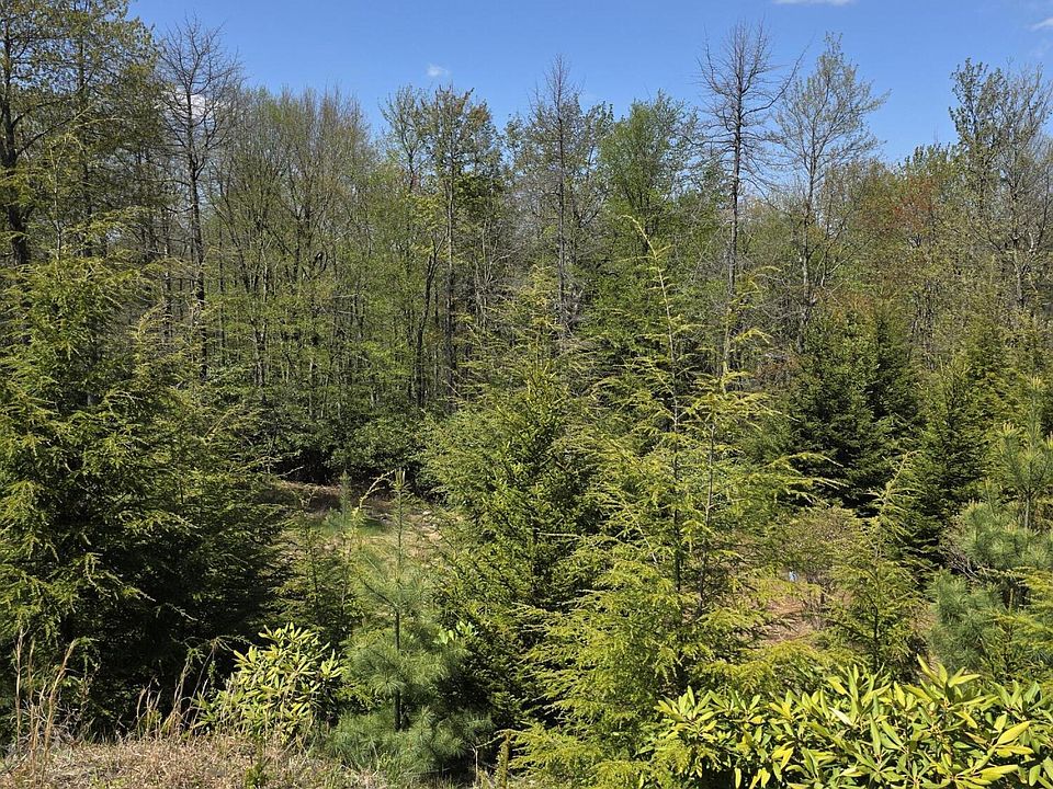 1st image of Hermit Thrush Rd