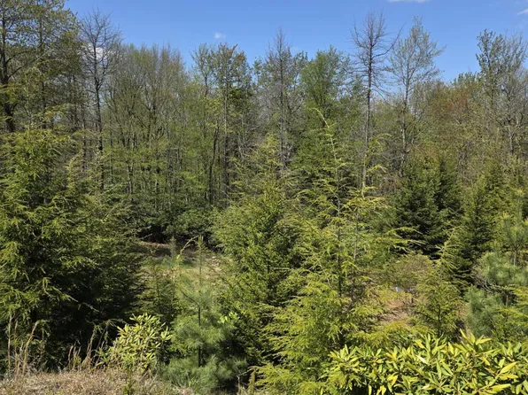 Hermit Thrush Rd, Pocono Pines, PA 18350