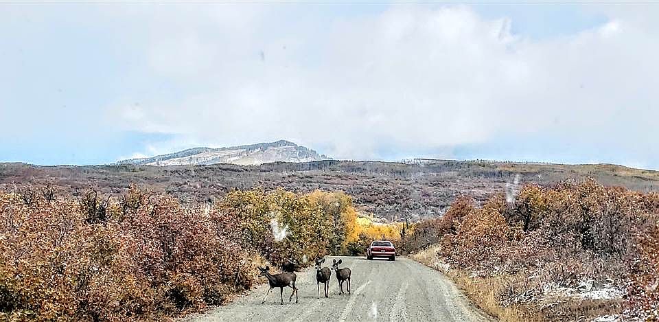 1st image of Tbd 3100 Road