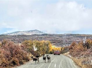 Tbd 3100 Road, Hotchkiss, CO 81419