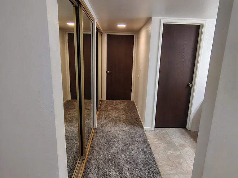 1005 Sylvan Meadows Dr — Photo 11
