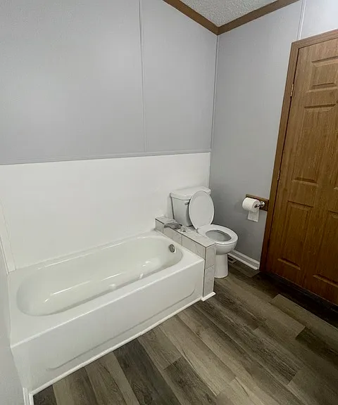 Master Bath Tub and Toilet