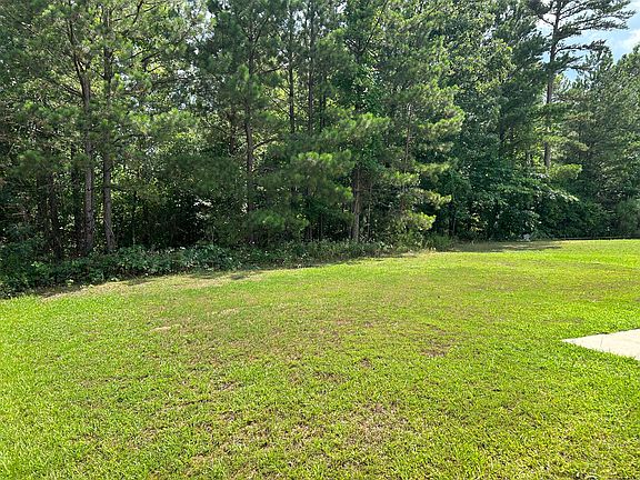 Large flat back yard