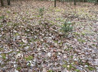 0 Little Sugar Run Rd, Beech Creek, PA 16822