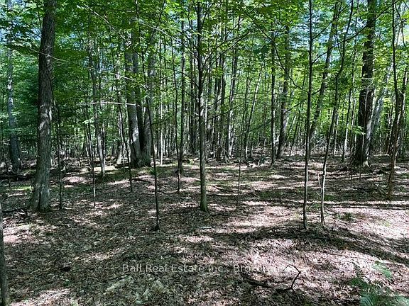 4th image of Conestoga Rd Lot 15