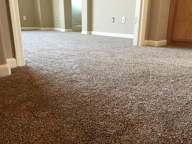 2470 Spring Flower Dr — Photo 4
