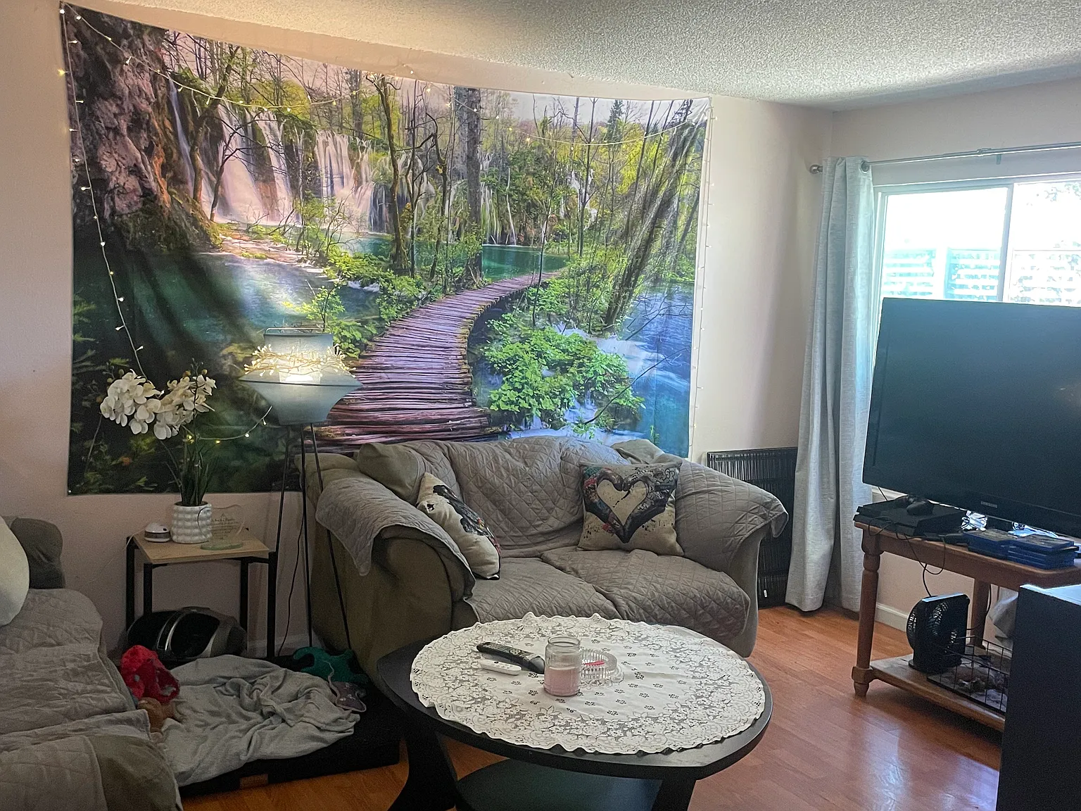 3 bed, $740 — Photo 3