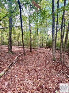 0 Foley Rd, Stuart, VA, 24171