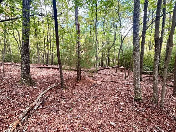 0 Foley Rd, Stuart, VA 24171