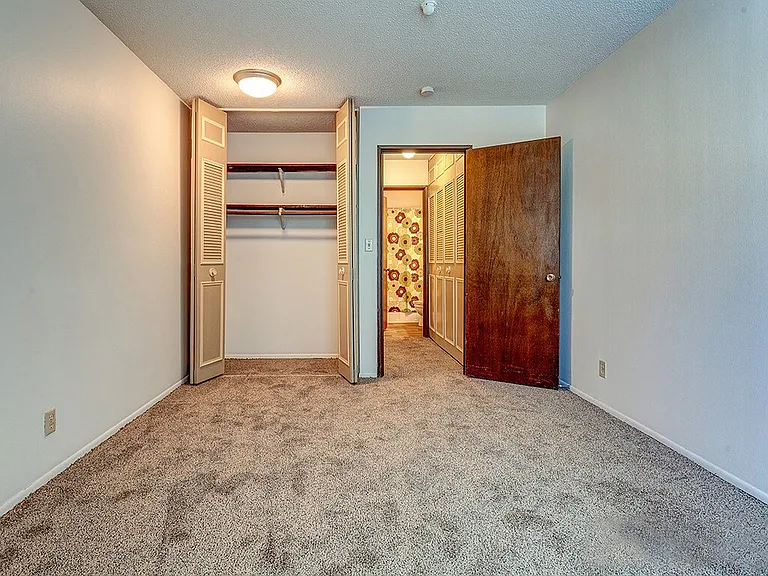 Closets With Plenty of Shelfspace