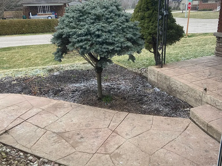 123 Seneca Dr — Photo 4