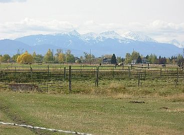 5th image of 146 Teakwood Dr