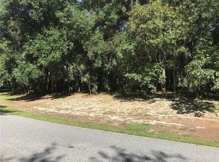 133 Piney Woods Rd, Apopka, FL 32703