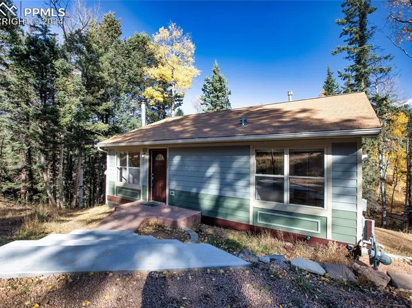 297 Banner Trl, Florissant, CO 80816