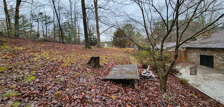 Back yard