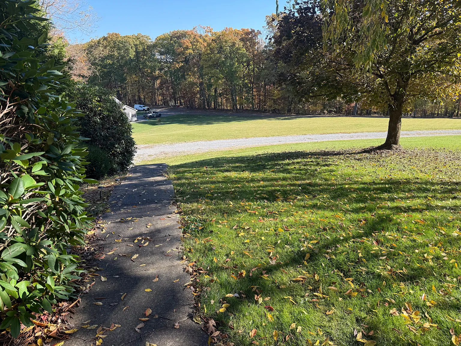 3 bed, 1500 sqft, $1,600 — Photo 2