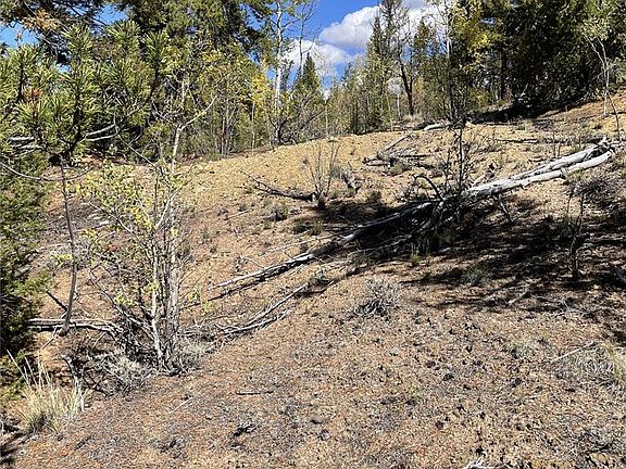 000 County Road 396, Granite, CO 81228 | MLS #3282776 | Zillow
