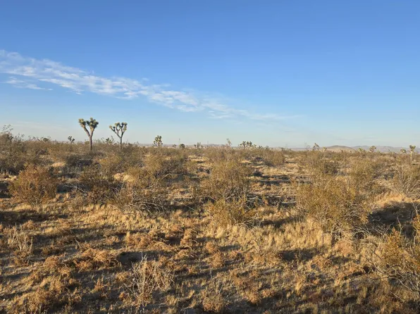 Vicinity Ave #U-4, Llano, CA 93544