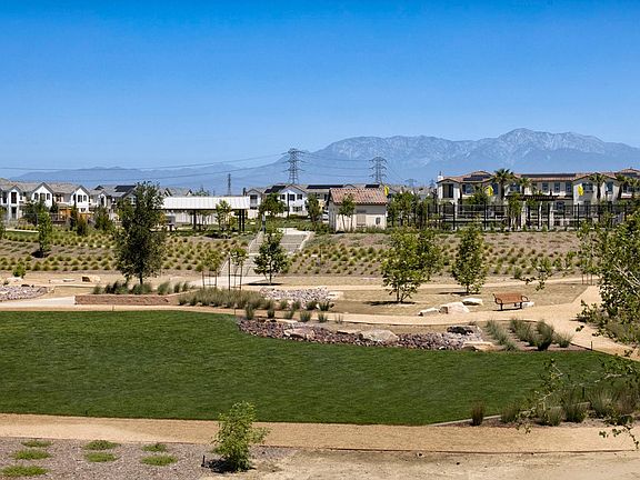 Community park