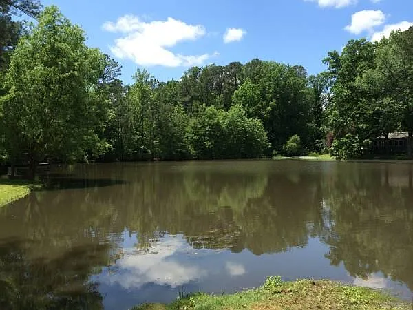 Pond2