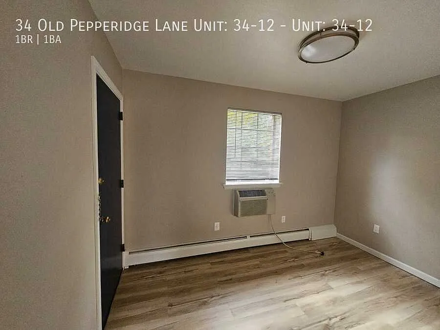 1 bed, 800 sqft, $1,800 — Photo 4