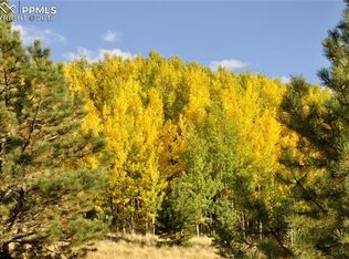 1150 Monarch Dr, Cripple Creek, CO 80813