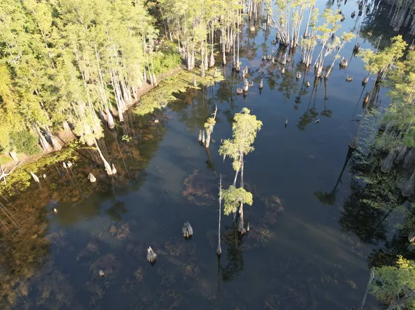 0 Myrtle Trl, Grand Ridge, FL 32442