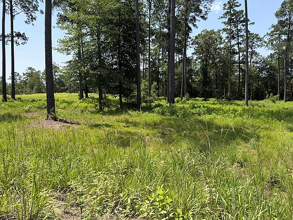 5th image of LOT 2 Private Road 6028