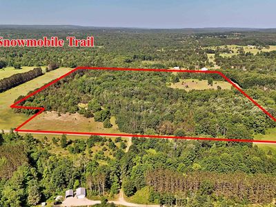 Tannerville Rd, Kaleva, MI, 49645