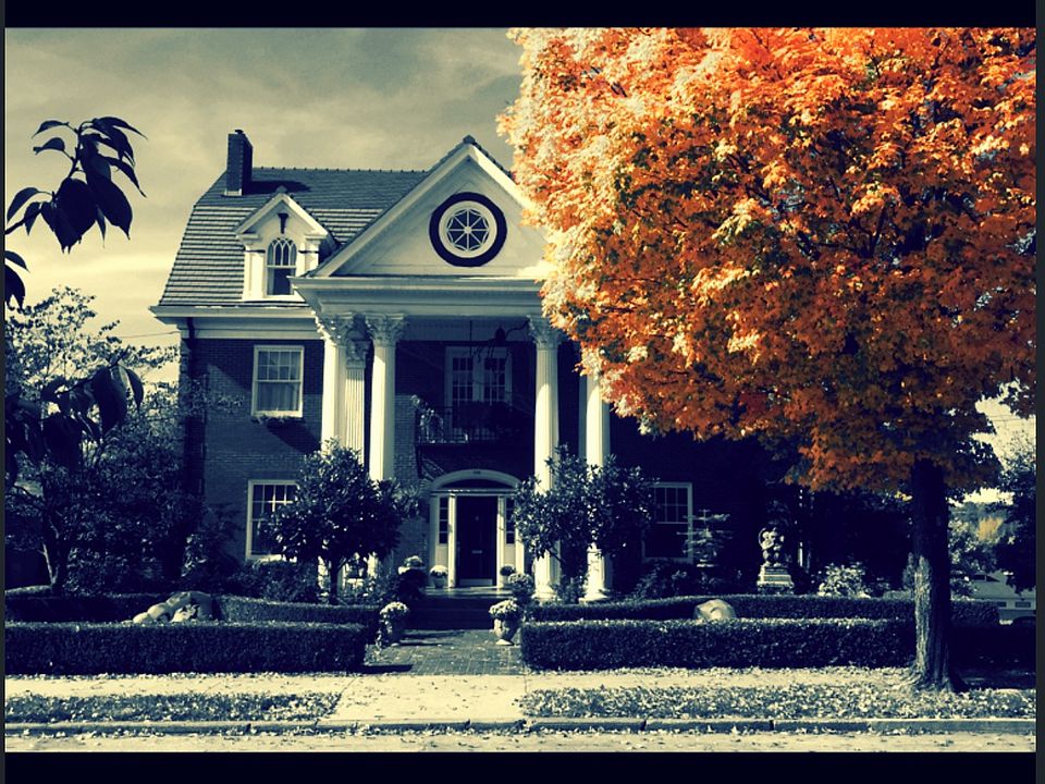 Fall Beauty