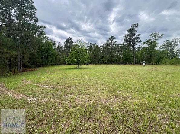 1494 Hiltonia Rd, Millen, GA 30442