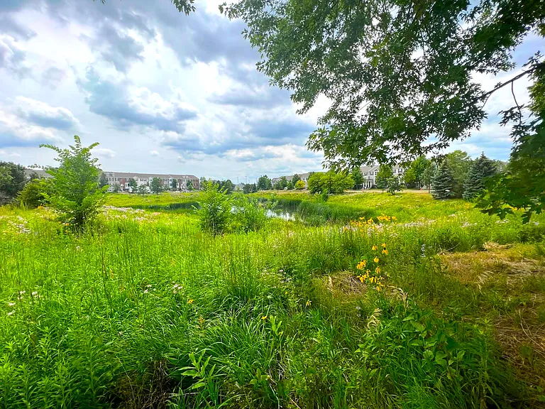 3915 Lookout Place — Photo 5