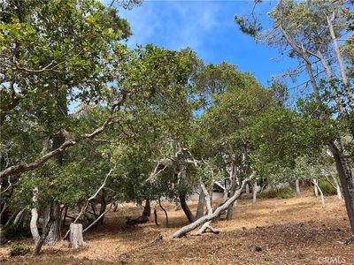 0 Norwich Ave LOT 43, Cambria, CA, 93428