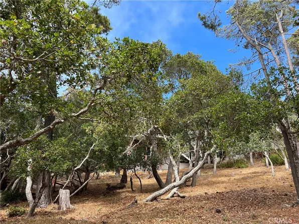 0 Norwich Ave Lot 43, Cambria, CA 93428