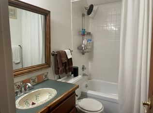 1003 Vine St #1003, Aspen, CO 81611