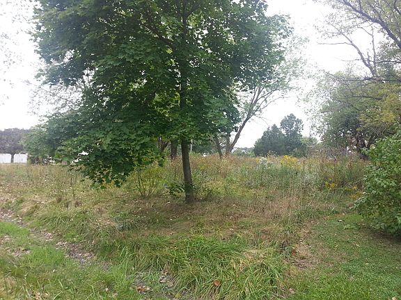 view from rear of property