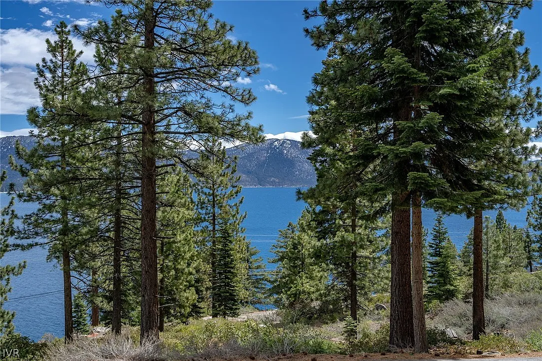 595 Amagosa Rd photo 1