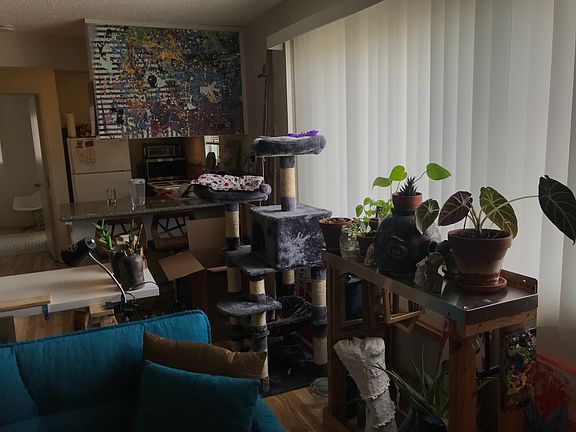 3rd image of 665 Iris Ave APT 5