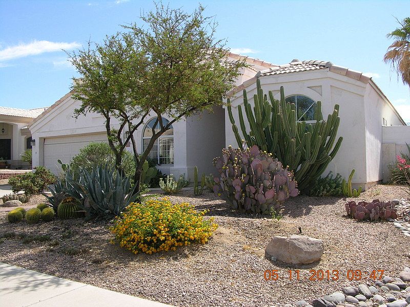 Front Yard