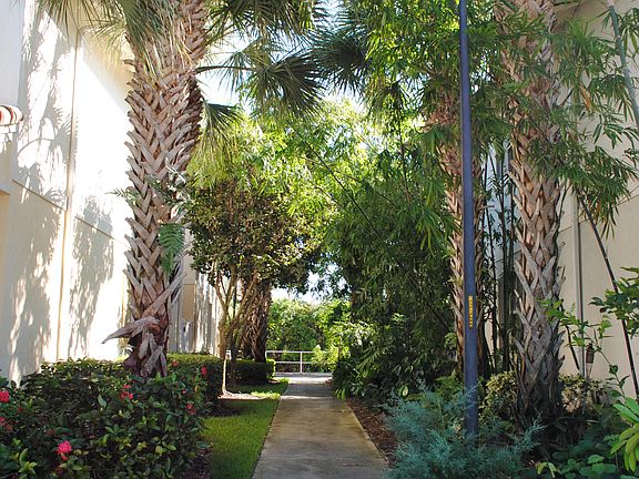 Side yard/path (right)