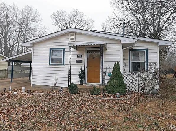 217 N Alexander St, Farmington, MO 63640