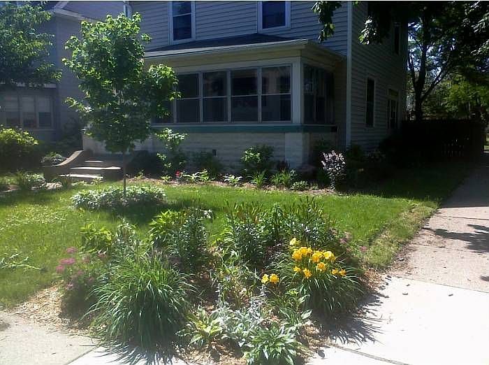 Established perennials