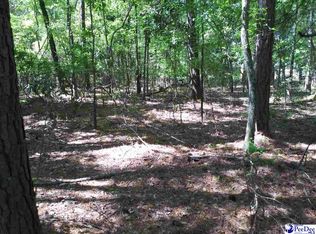 Robert Rd, Lake City, SC 29560