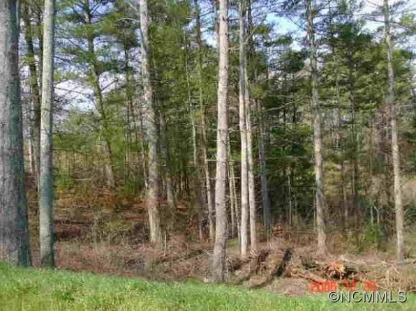 54 Bear Creek Hills Dr, Leicester, NC 28748