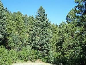 4th image of 8098 Acoma Dr