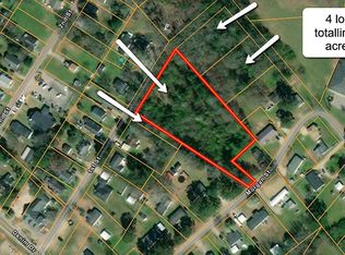 1st St, Erwin, NC 28339