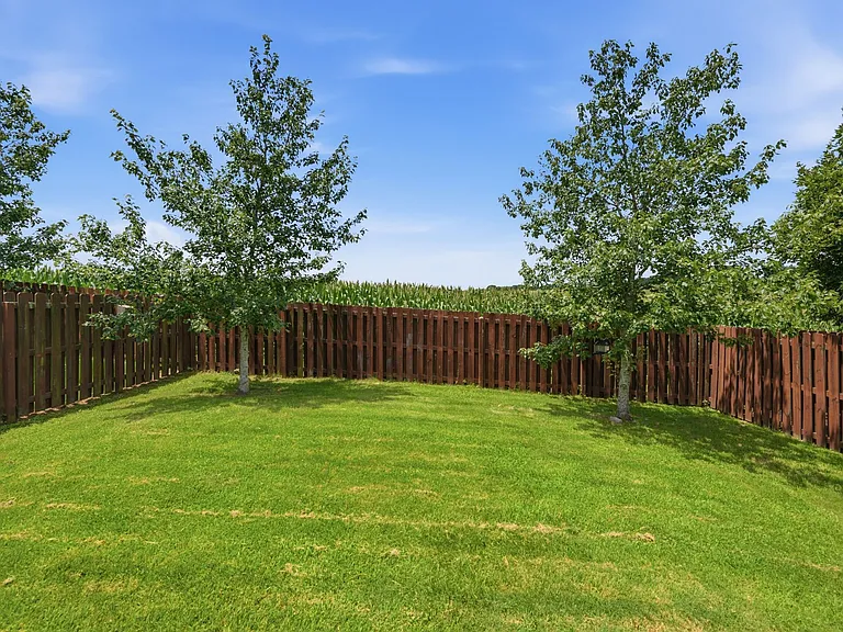 5003 Hemlock Ct — Photo 15